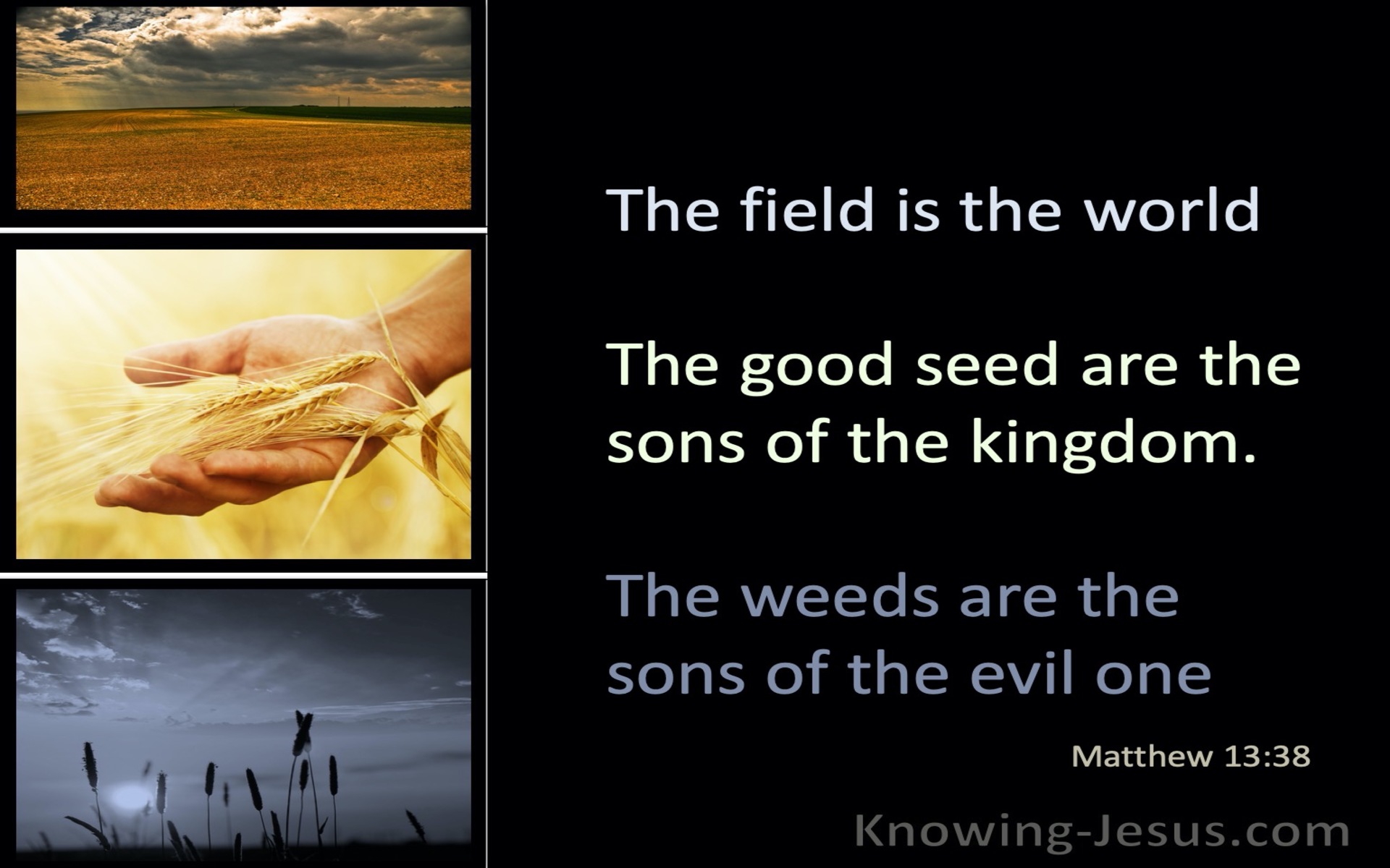 Matthew 13:38 The Field Is The World (black)